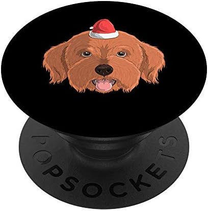 cavapoo accessories