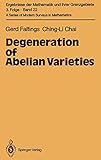 Degeneration of Abelian Varieties (Ergebnisse der Mathematik und ihrer Grenzgebiete. 3. Folge / A Series of Modern Surveys in Mathematics (22))