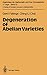Degeneration of Abelian Varieties (Ergebnisse der Mathematik und ihrer Grenzgebiete. 3. Folge / A Series of Modern Surveys in Mathematics (22))