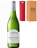 Barbadillo Blanco - Envio 24 h - Palomino Fino Vino de la Tierra de Cádiz 75 cl - Vino blanco de Albariza (1 Bot, Blanco)