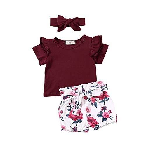 Baby Girls Summer Shorts Set Ruffle Short Sleeve Top T-Shirt Floral Shorts Headband Clothes Set