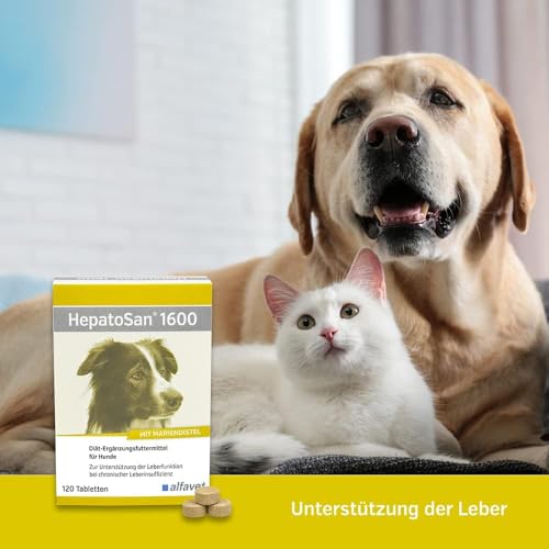 Alfavet HepatoSan 1600, unterstützt den Leberstoffwechsel, Nahrungsergänzung für Hunde, 32 Tabletten à 1600mg