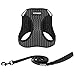 Voyager Step-in Air All Weather Mesh Harness and Reflective Dog 5 ft Leash Combo with Neoprene Handle, for Small, Medium and Large Breed Puppies by Best Pet Supplies - Gray (Leash Bundle) , L