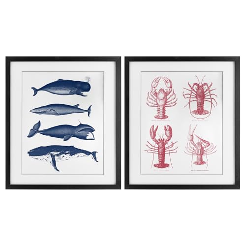 Impression encadrée baleines et homards Stupell Industries 40x33 cm