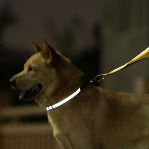Hyhug Design, Martingale Nylon Klassische Halsbänder ,Anti-Flucht Hundehalsband. 3M Reflektierender Streifen, Komfortabel Verstellbar, Sicherer Nachtspaziergang, Hunde-ID-Tag-Montageloch