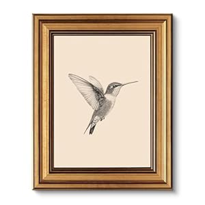 VIYYIEA Vintage Gold Framed Wall Art for Living Room, Birds Canvas Prints Home Decor, Sketch Painting Picture, Bedroom Wall Decor Gifts for Friends or Family -【Hummingbird】-(10L x 8W)