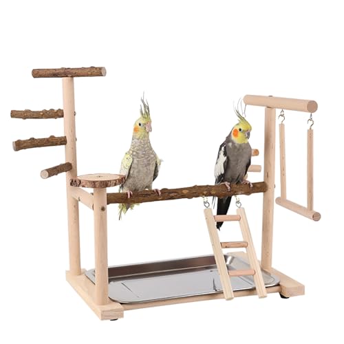 Image of RoseFlower Parrot Playstand, Bird Stand for Indoor, Wooden Bird Playground with Swing, Ladder, Perches and Removable Tray, L*W*H 14x9x15 Inch