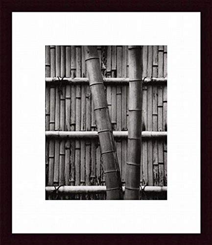 Printfinders Bamboo and Wall by Jeff Zaruba Wood Framed Art Print