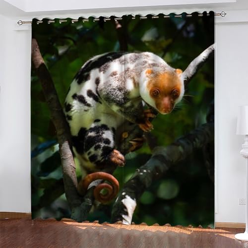 KaiHeBeding Cortinas Dormitorio Animal Cortinas Salon Quoll Manchado, Cortina con Ojal para Decorar de la Oficina en el Hogar 2 Piezas 140An x 160Al, Protección de la Intimidad Protección Solar