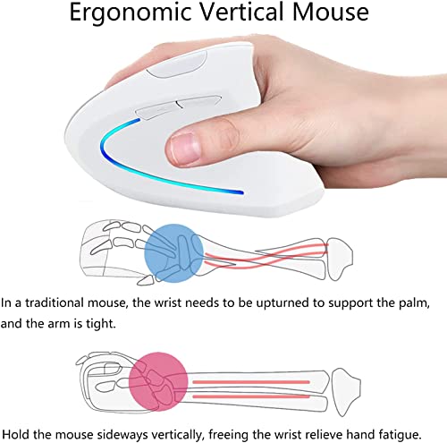 Wrewing Vertical Mouse, Right Handed 2.4G And Bluetooth Dual Mode Wireless Ergonomic Rechargeable Vertical Mouse With 4 Adjustable Dpi 6 Buttons,Compatible With Pc Mac Android Windows (White) #TOP2