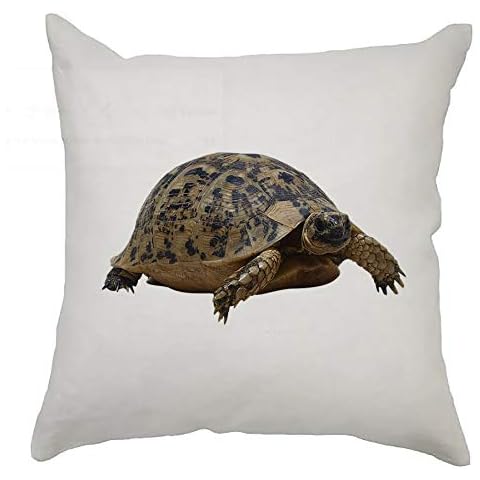 Kooky Kids - Tortoise Design - For Living Room, Bedroom, Couch, Sofa, Chair, Kid’s Room Bed Throw Cushion Cover Decoration, Home-Office - With Soft & Silky Touch - 40cm x 40cm Square Pillow Cases Cover