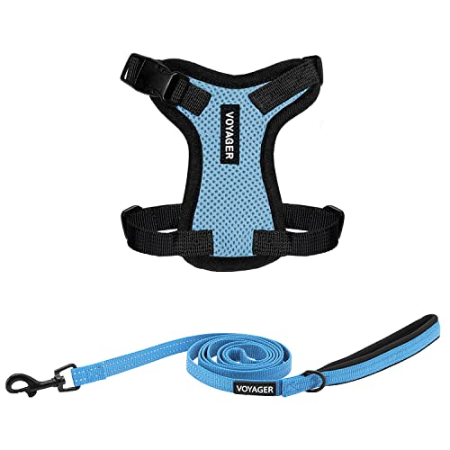 Image of Best Pet Supplies Voyager Step-in Lock Pet Harness w Reflective Pet Leash Combo Set with Neoprene Handle 5ft - Supports Small, Medium and Large Breed Puppies /Cats - Baby Blue /Black Trim, XXXS