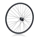 Alaudark Dirt Jump Bike Wheel DJ26 26" Double Wall Alloy 6-Bolts Disc Brake Mount with Alaudark Lark