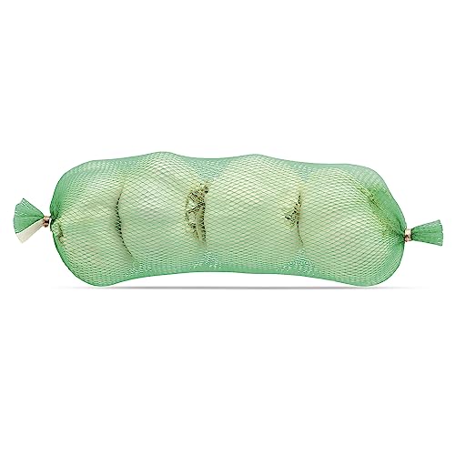 Ajo BIO malla 200 gr