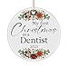 My First Christmas as a Dentist 2023 Ornament, Gifts for Merry Xmas Happy New Year Dental School Clinic National Dentist Day Dentistry Student, Tree Party Decoration