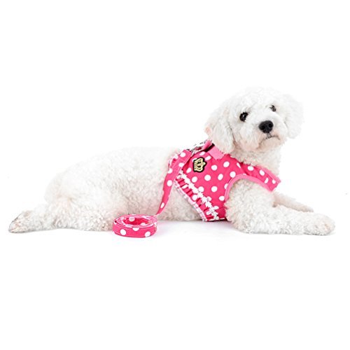 SELMAI Puppy Small Dog/Cat Dots Vest Harness Leash Set Mesh Padded No Pull Lead