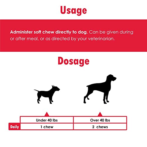 Proflora Probiotic Soft Chews For Dogs - Veterinary-Strength Daily Probiotic - Digestion Health - Boost Immune System - Skin And Coat Health - 60 Soft Chews #TOP4