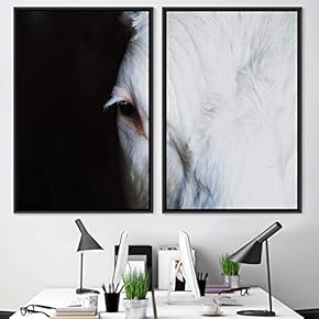 signwin 2 Piece Framed Canvas Wall Art Horse...