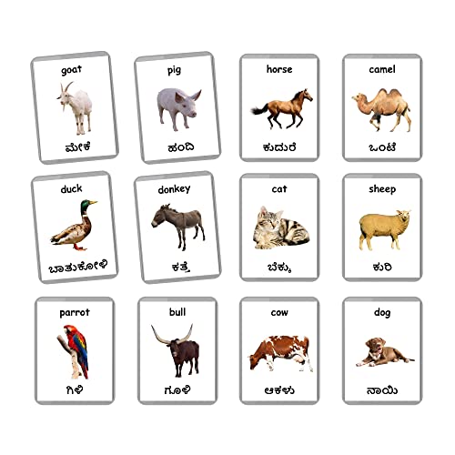 Image of Kannada English Bilingual Flash Cards | Montessori Cards | Laminated Flash Cards | Early Education (Farm Animals - 27 Cards)