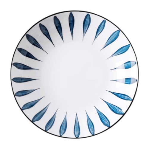 Bols à pâtes en céramique sous glaçure | Lot de 10 assiettes creuses de style chinois pour la maison