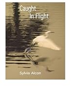 Caught in Flight 0989636615 Book Cover