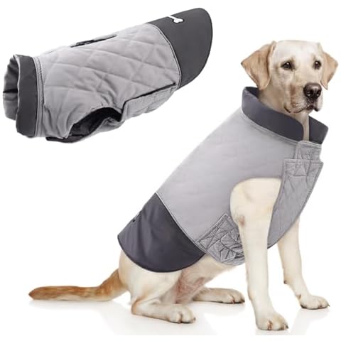 Idepet Waterproof Dog Coat for All Breeds Cover