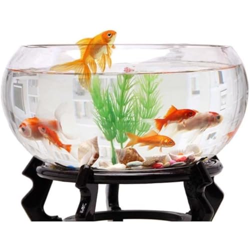 msidtsoyی^KXe[uANAE{EϗtAeʂCeAeIuWFeEԕr (20cm)