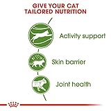 ROYAL CANIN Outdoor | 400 g | Trockenfutter für Katzen | Für ausgewachsene Katzen (vom 1. bis zum 7. Lebensjahr) mit häufigem Freilauf und regelmäßiger Bewegung