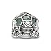 Produktbild Thomas Sabo Damen-Bead Schildkröte Karma Beads 925 Sterling Silber geschwärzt Zirkonia schwarz Aventurin grün K0194-586-33