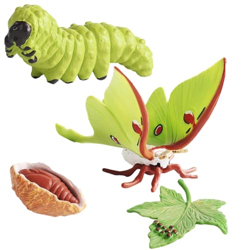 CtTCNl |q̃AȓtBMA | 3Έȏ̂qlAj̎qA̎qAc̒mߋ