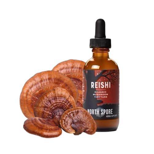 North Spore Organic Reishi Mushroom Tincture (2 oz) – Immune & Brain Support