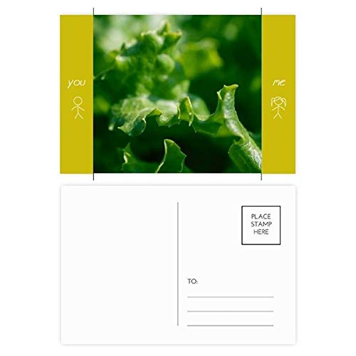Carte postale de carte Merci nature 20pcs DIYthinker pour correspondance et mot doux