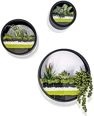 Vaso Rotondo Infinity The HC Companies 20,3 Cm Con Sottovaso E Autoirrigazione - Cioccolato, Per Interno/Esterno