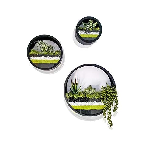 Ecosides Round Indoor Wall Succulent Hanging Planter, Metal Decorative Freestanding Mount Holder with Glass for Air Plants, Faux Flower,Set of 3 (Black) Cover