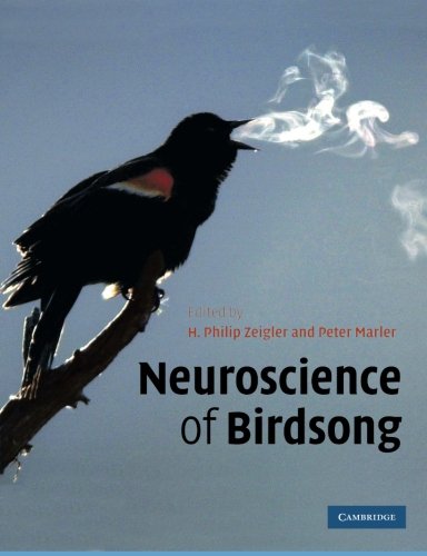 Neuroscience of Birdsong