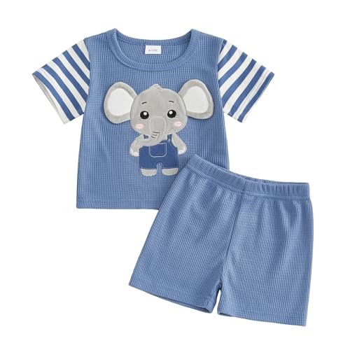 Loalirando Toddler Baby Girl Boy Summer Clothes Outfits Casual Embroidered Animal Short Sleeve T Shirt Tops Shorts Cute Clothing Set (Blue 12-18 Months)