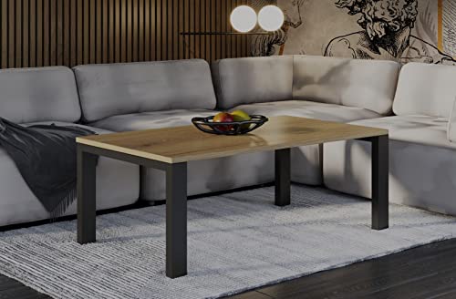 Endo-Moebel Couchtisch Garold 120x80 cm Gestell matt schwarz Beistelltisch (Natur Eiche)