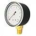 Press Gauge, Low Press Diaphragm, 2-1/2 in