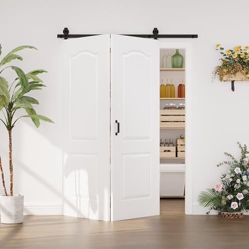 Image of 60 inchx80 inch 2-Grid MDF Molded Panel Bifold Barn Door Slab with 64 inch Track Kit