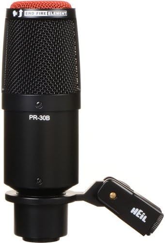 Heil Sound PR 30B Dynamic Cardioid Studio Microphone (Matte Black) with Auray Two-Section Broadcast Arm Shock Mount for PR40/ Black