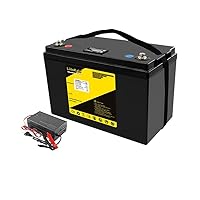 リチウムイオンバッテリー　12V 80AH Amazon.co.jp: リン酸鉄リチウムイオンバッテリー 24V 80Ah
