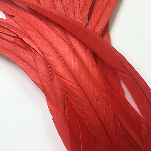 Sowder Red Rooster Coque Tail Feathers 16-18inch Lengh Pack of 20 - Image 2
