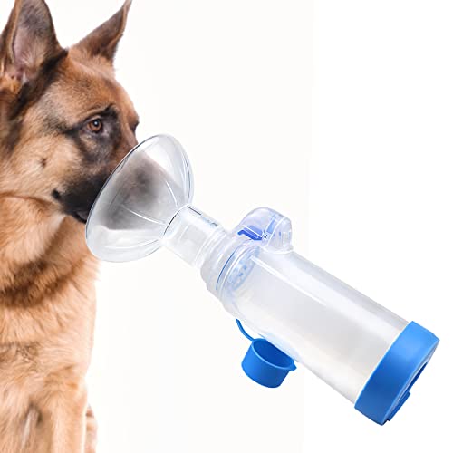 10 Best Cat Inhaler Spacer May 2024