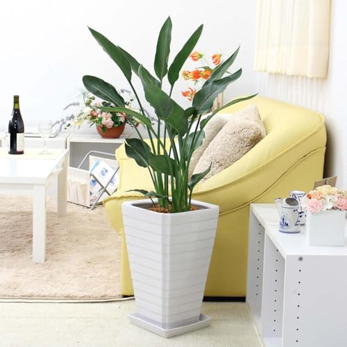 yu[~OXP[vzXg`AiXg`Aj Ml W XNGAzCg픫 G^Cv y̕\ʁFEbh`bv (Xg`A Ml 8)