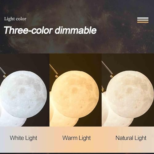 Lampes suspendues et plafonnier LED rond lune 3D à intensité variable LWX