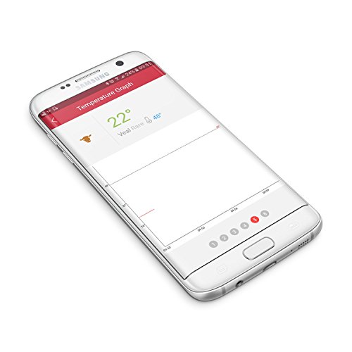 GrillEye Thermometer Bluetooth 6 Sensoren-15