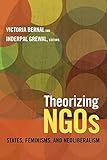 Theorizing NGOs: States, Feminisms, and Neoliberalism (Next Wave: New Directions in Women's Studies)