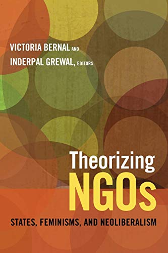 Theorizing NGOs: States, Feminisms, and Neoliberalism (Next Wave: New Directions in Women's Studies)