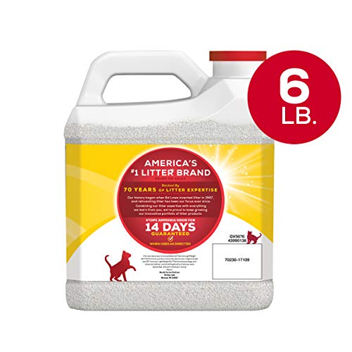 Purina Tidy Cats Light Weight, Low Dust, Clumping Cat Litter, 24/7 Performance Multi Cat Litter - 6 Lb. Jug #TOP4