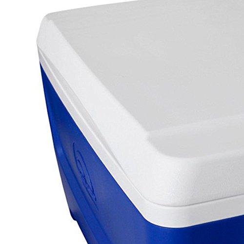 Igloo Caixa Térmica Island Breeze, 45 litros